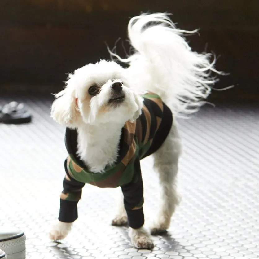 Bark & Shine | Camo Dog Hoodie