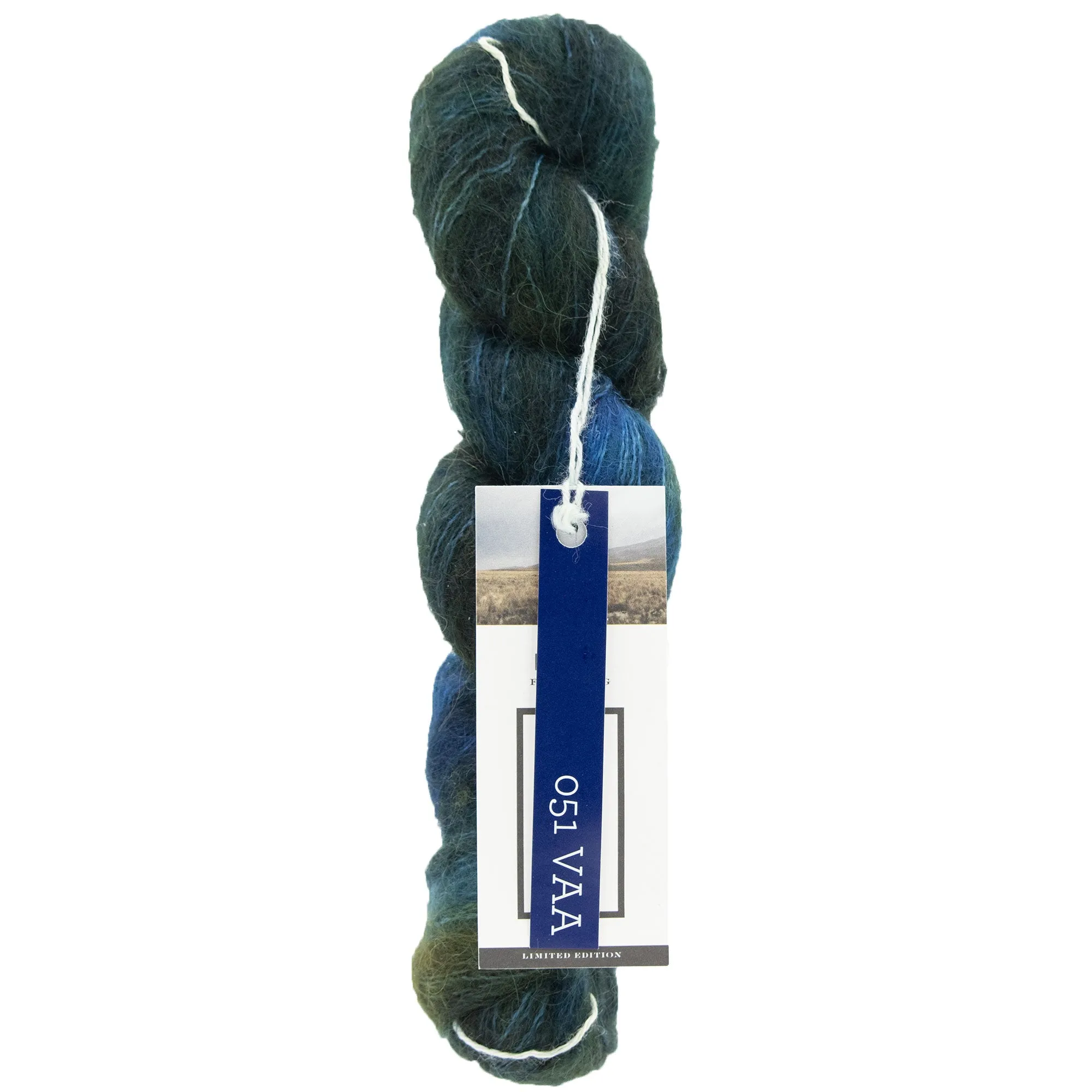 Blue Sky Fibers Hand Dyed Prairie Yarn - 11051 - Vaa