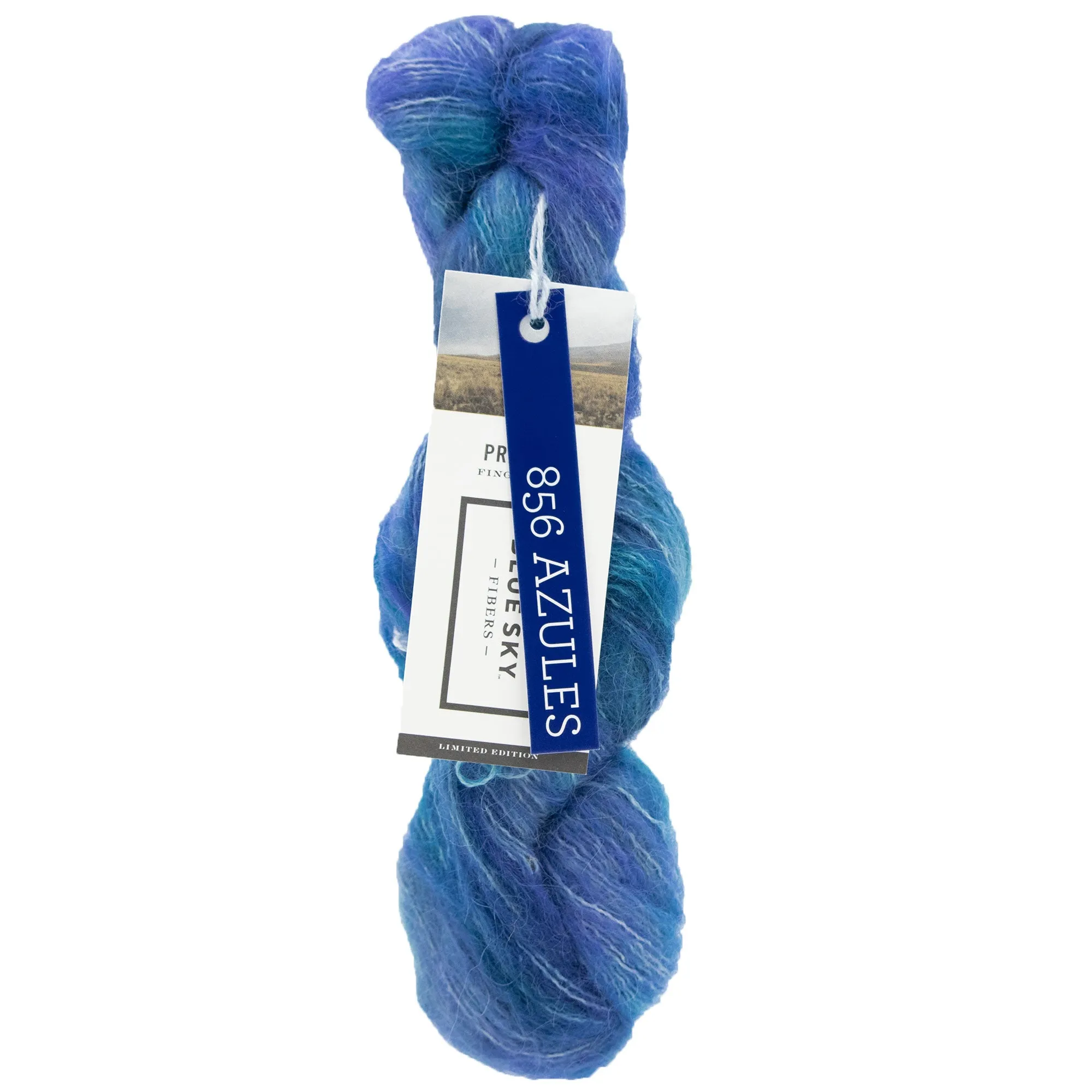Blue Sky Fibers Hand Dyed Prairie Yarn - 11856 - Azules