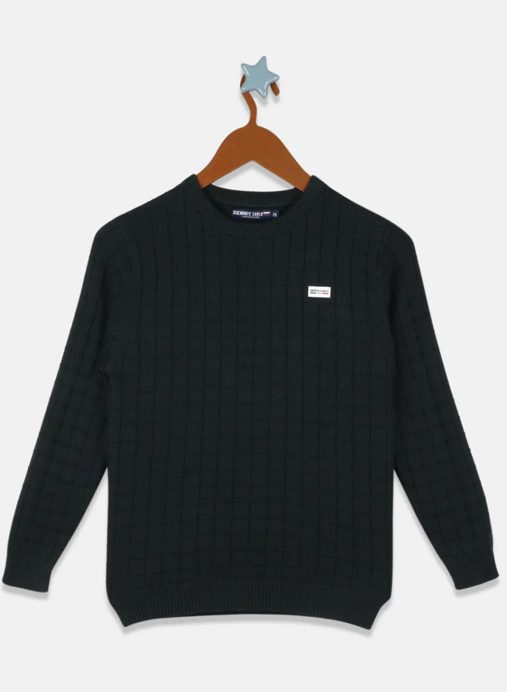 Boys Green Self Design Pullover