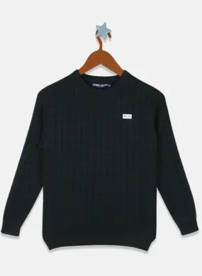 Boys Green Self Design Pullover