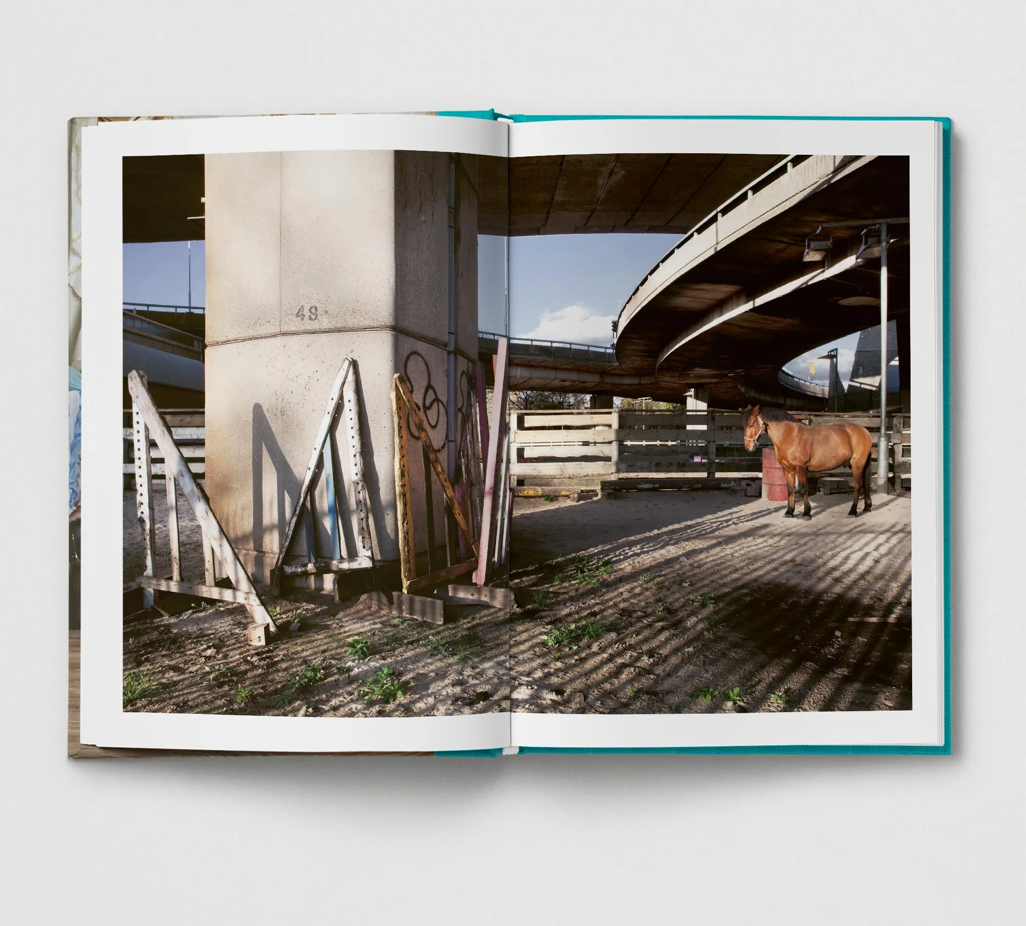 Collector's Edition   Print: Urban Gypsies