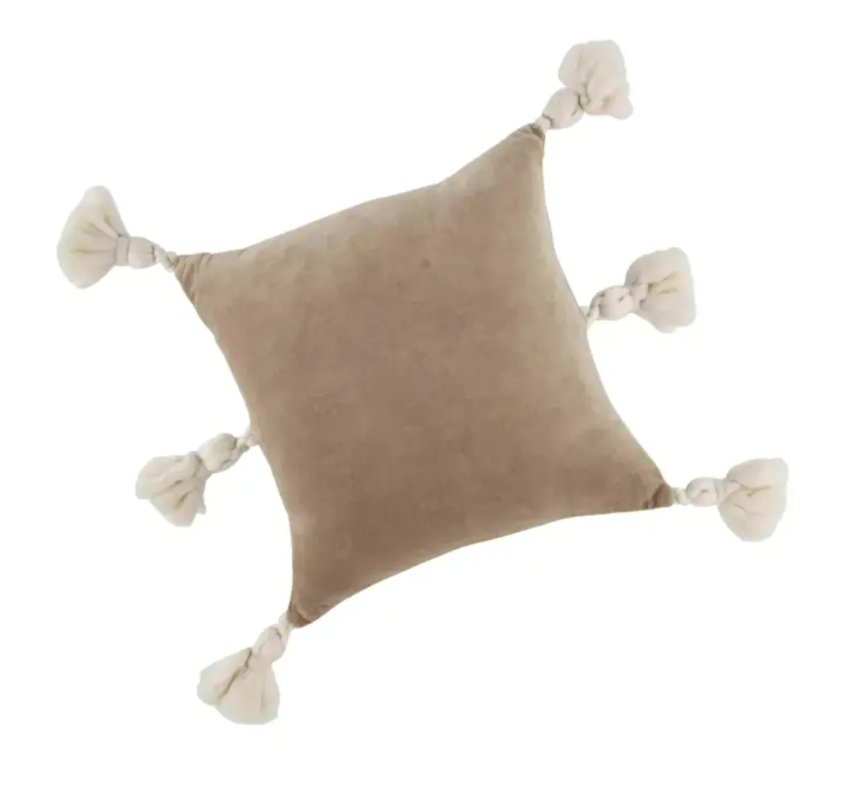 Tassel Velvet Pillows