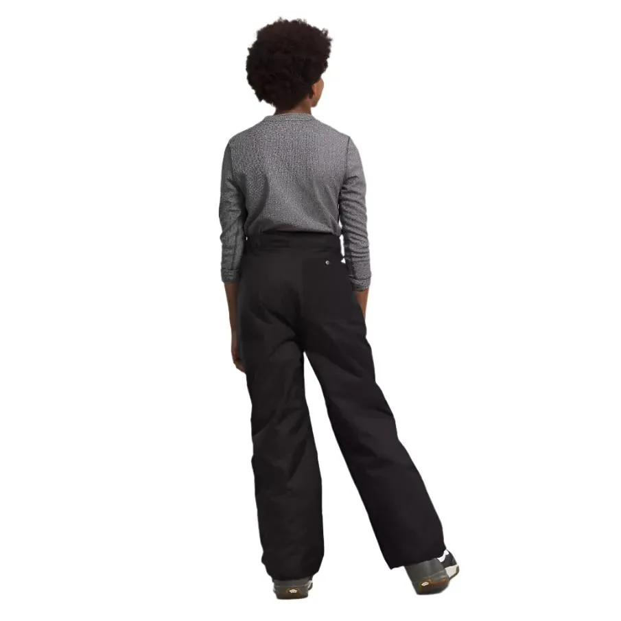 The North Face Boys' Freedom Insulated Pants
