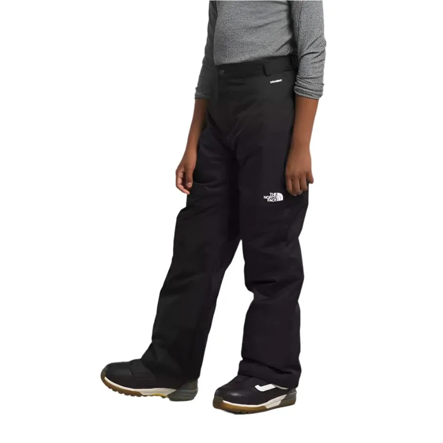 The North Face Boys' Freedom Insulated Pants